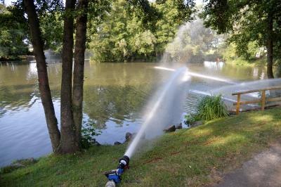 Feuerwehr holt tote Fische aus dem See - Erneuter Einsatz der Feuerwehr am Riedsee in Stuttgart